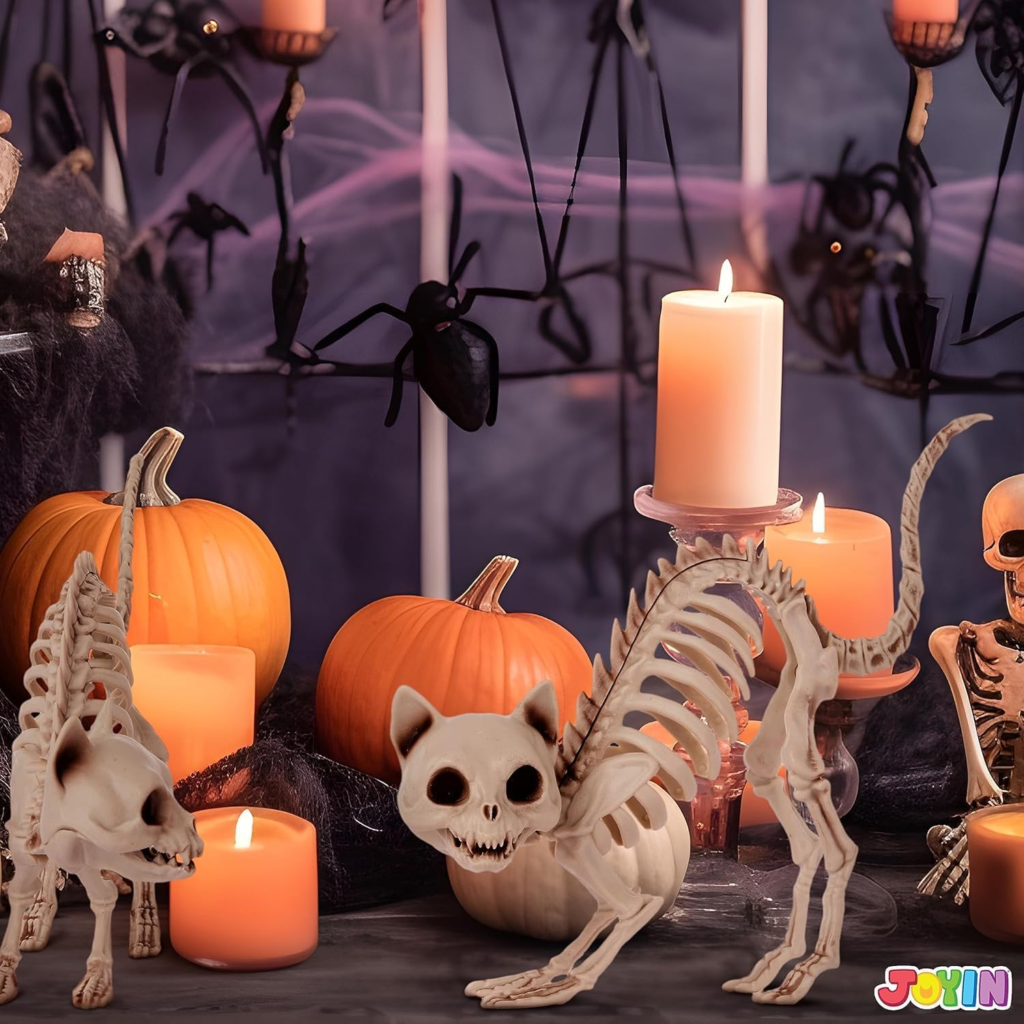 squelettes chat pour halloween